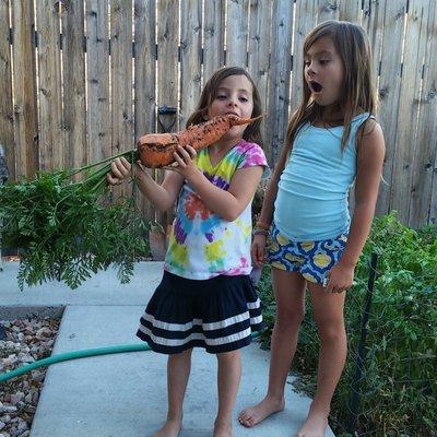 The Great Mother Denver Garden Services