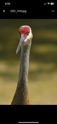 Ottawa Lake Campground