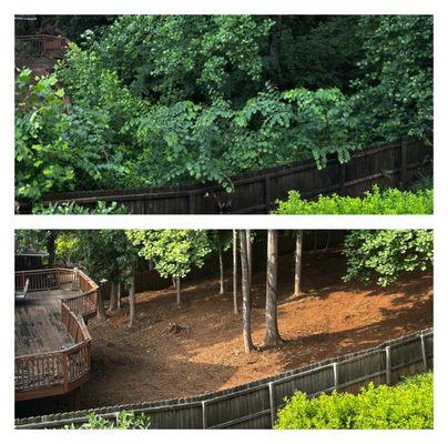 Dylan's Tree Services & Landscaping