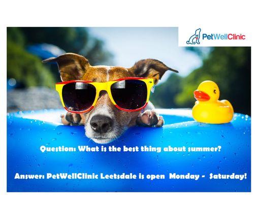 PetWellClinic - Leetsdale