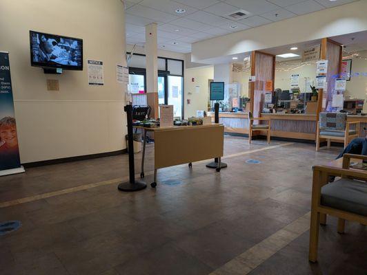 Stopping in for an allergy blood draw.