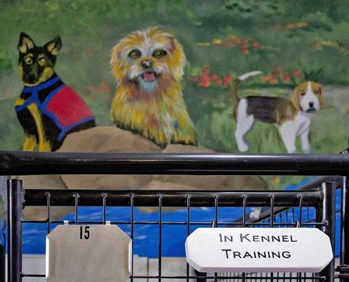 Hillside K9 Academy