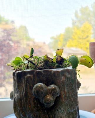 Audrey in her new digs!!!