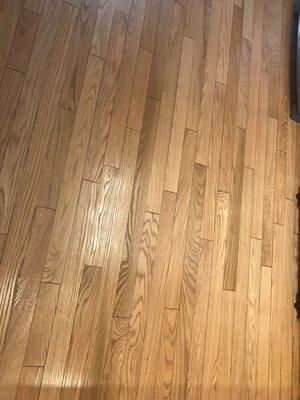 Finished product. Night and day difference.