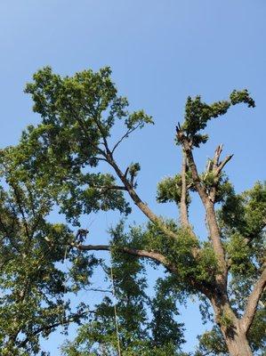 East TX Land Solutions