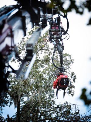 Knuckle boom crane