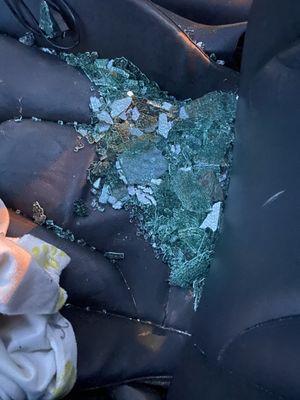 Lanier Parking Solutions