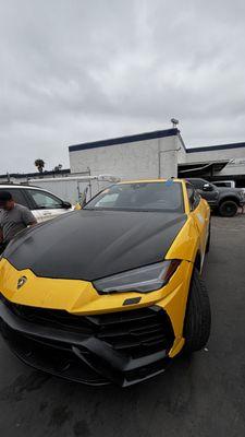 Autoglass Elite Shield