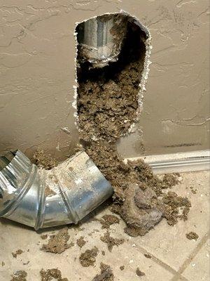 The Duct Man Of Nevada