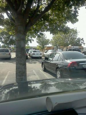 Benjamin Holt College Preparatory Academy