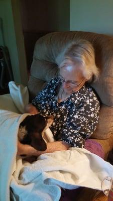 Cheney Animal Clinic