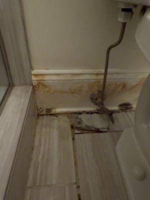 Mold from supply valve not being tightened properly and causing a leak