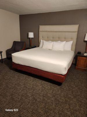 Drury Inn & Suites Springfield, IL