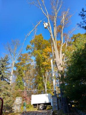 Christian Tree Service