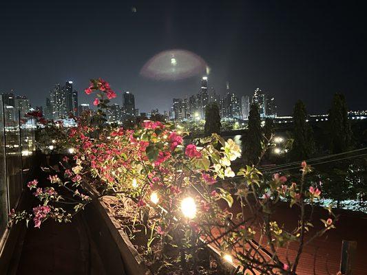 Rooftop view of the city