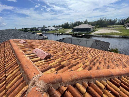 Divine Pressure Washing