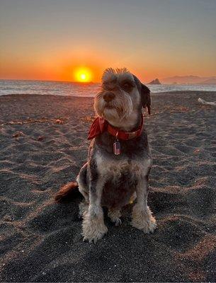 Sonoma Coast State Beach