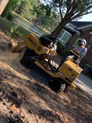 Stump grinding