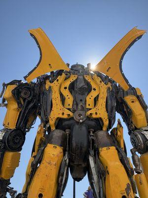 Guy in front of the door