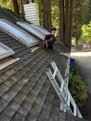 Perla's House Cleaning Services