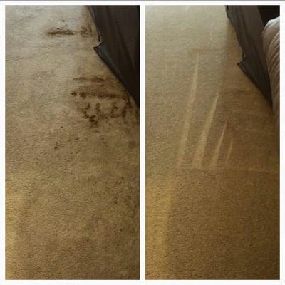 Complete Carpet Clean