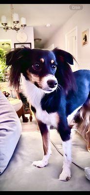 Leah loves Groomingdales!