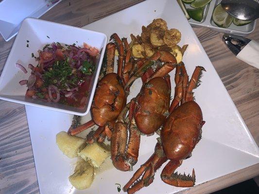 Puerto De Manta in NYC