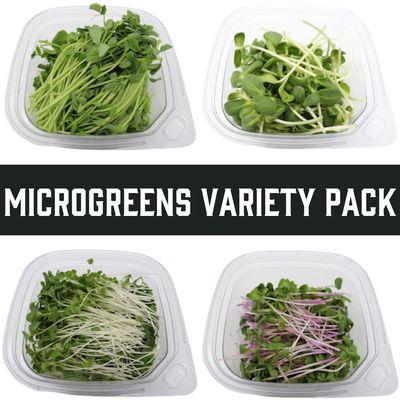 Independence Microgreens