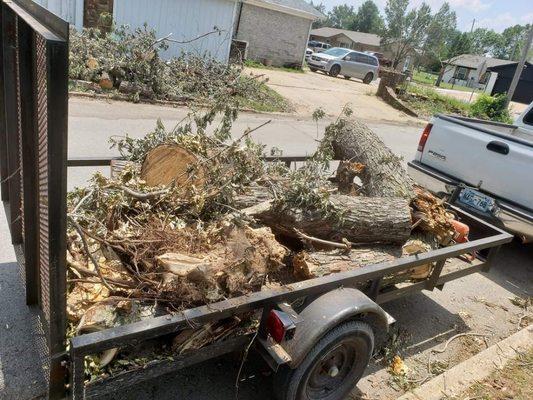 Beallphase Landscaping