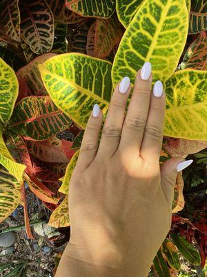 Magnolia Nails & Ilashes LLC