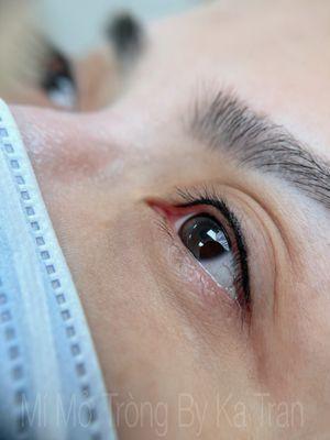 Ka Tran Beauty & Pmu Academy