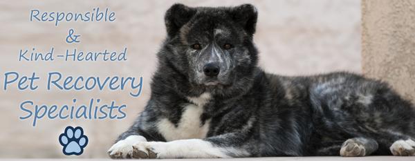 Missing Pet Recovery Services, Inc.
The responsible & kind-hearted Pet Recovery Specialists