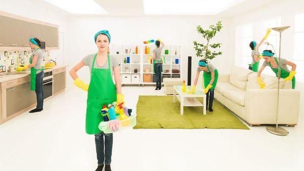 Rogue Eco House Cleaning