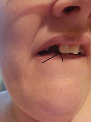 A Dental Touch