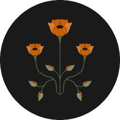 Cara Schuster, CMT - Fox Den Folk Care