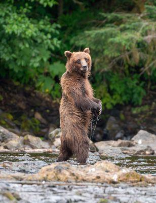 Wild Coast Excursions