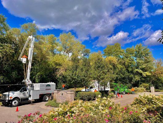Final Oaks Tree Service Inc.