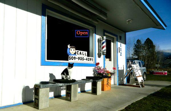 Cat visits Chewelah Valley Barber Shop