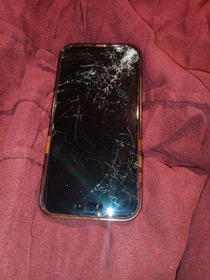 Before iPhone 16 Pro Max