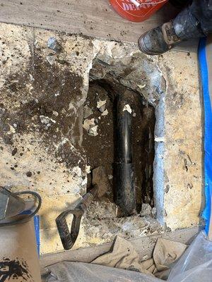 Bert’s Mega Plumbing