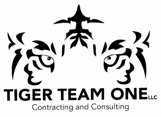 Tiger Team One
