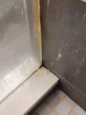 MYO Cleaning Services