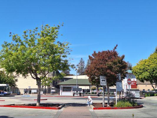 Caltrain station shelter.