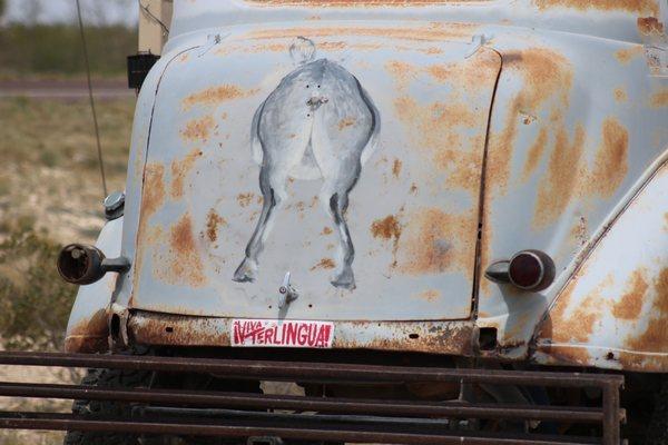 Little Burro Country Store