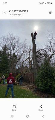 Juan Lopez Tree Service