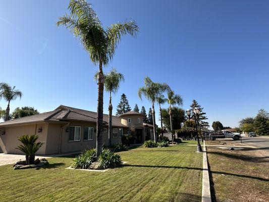 Premier Tree Service