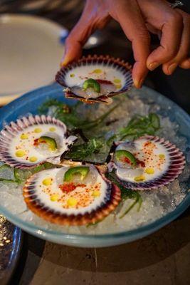 Scallop Crudo - IG: @nelson_eats