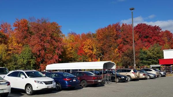 BJ's Wholesale Club Gas Station