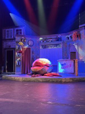 Signature Productions