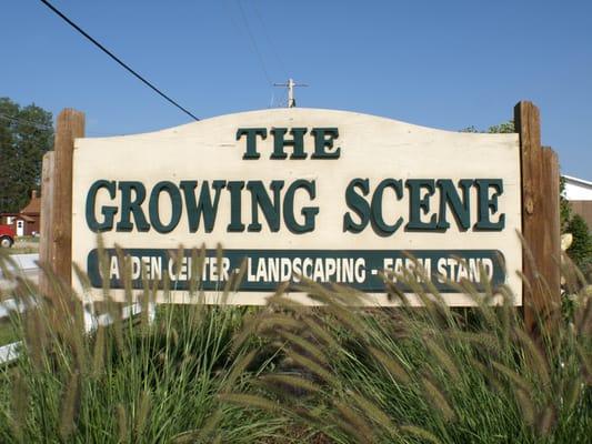Growing Scene Inc
